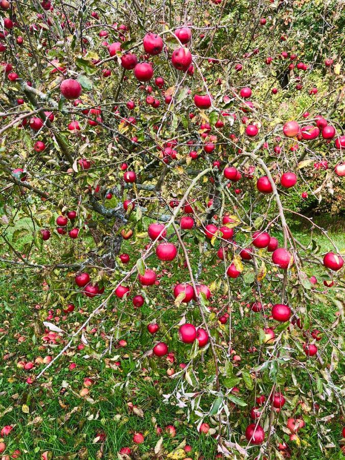 Apple Tree House Villa Lubin  Buitenkant foto