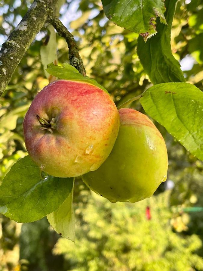 Apple Tree House Villa Lubin  Buitenkant foto